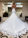 Amazing Tulle Spaghetti Straps Chapel Train Wedding Dresses Appliqued Mermaid Gowns WD661