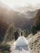 Backless Ball Gown Wedding Dresses Tulle Bridal Gowns With Long Sleeves WD303
