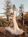 Elegant V-Neck Backless Appliques Tulle A-line Wedding Dresses  WD444