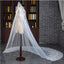 Fantastic Tulle Cathedral Train White Long Wedding Veils With Appliques WV010
