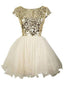 Chic Tulle Bateau Neckline Cap Sleeves Ball Gown Homecoming Dresses With Sequins HD048