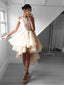 Unique Lace Jewel Neckline Hi-lo Length A-line Homecoming Dress HD018
